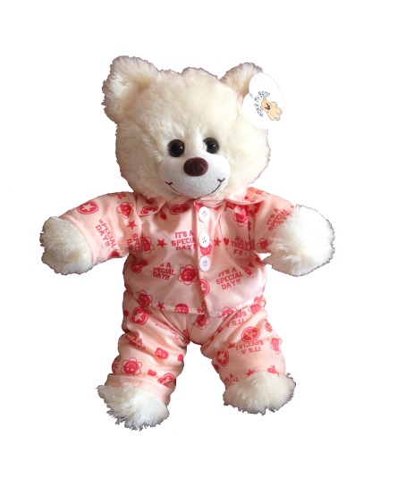 teddy bear party package
